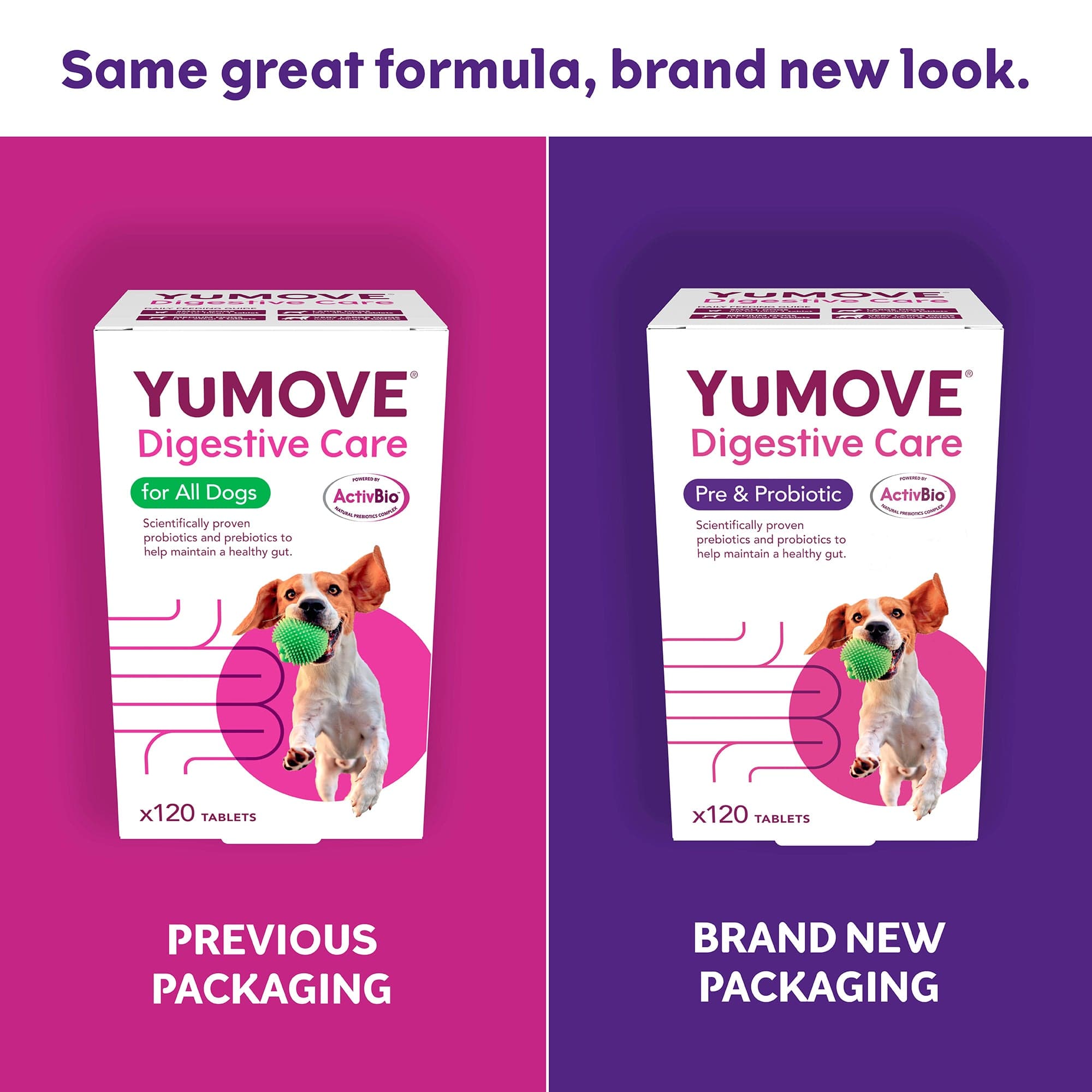 YuMOVE Digestive Care Pre Probiotic for dogs puppies