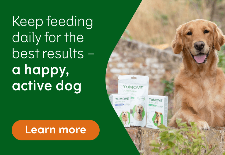 Joint Care PLUS for Dogs
