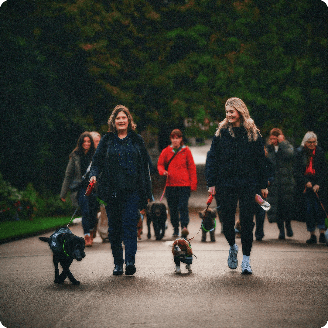 Group of women walking their dogs in a park. 