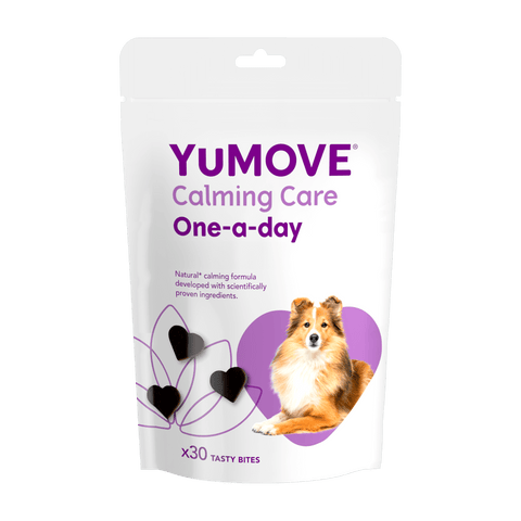 Lintbells yumove plus for dogs hot sale