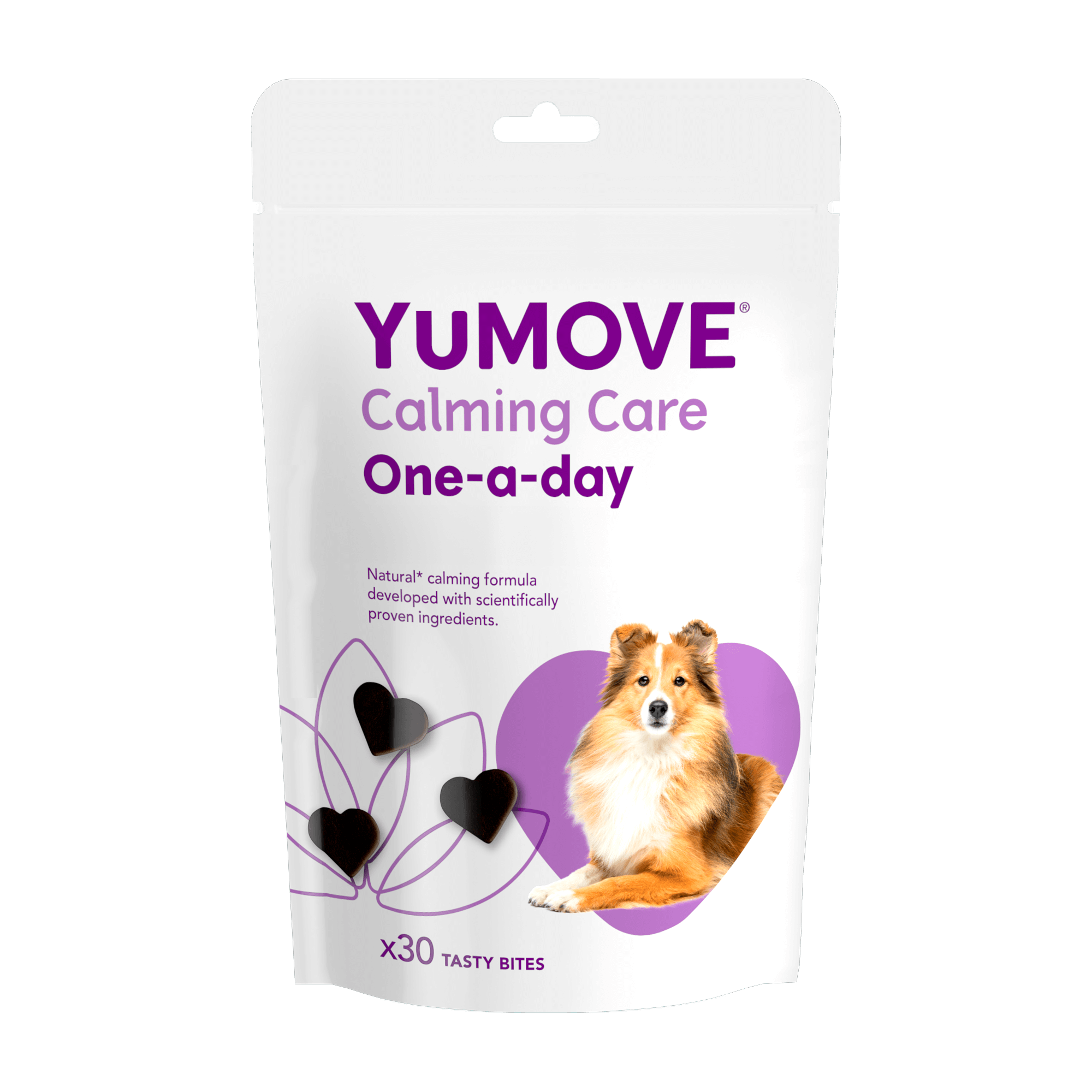 Calming Care One-A-Day for Dogs Calming
