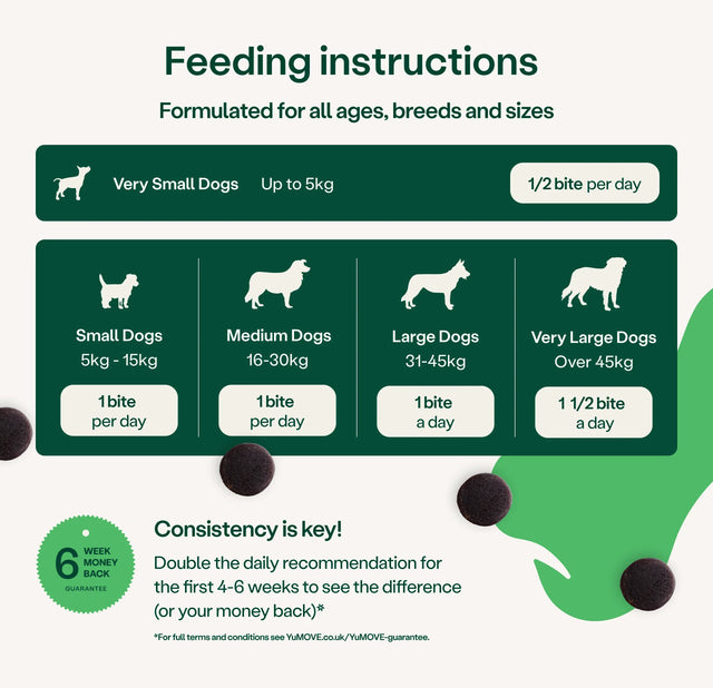 Joint Care One-a-day for Dogs Joints3