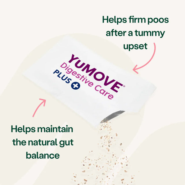 Digestive Care PLUS For Dogs and Cats Digestive Health2