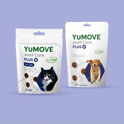 Dog & Cat Bundle Bundle 2