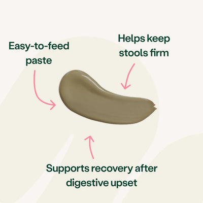 Digestive Care Rapid Digestive Health 2