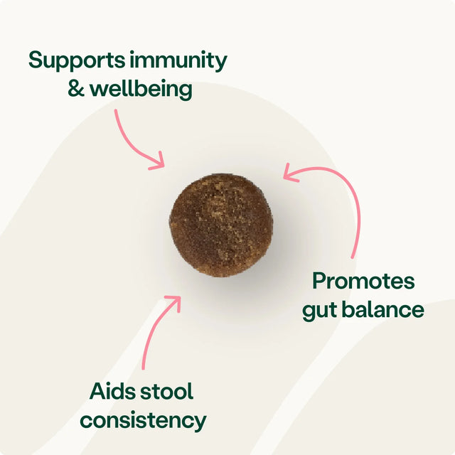 Digestive Support Pre, Pro & Postbiotic Bites Digestive Health2