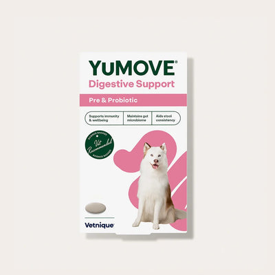 Digestive Support Pre & Probiotic for Dogs Digestive Health 2