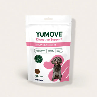 Digestive Support Pre, Pro & Postbiotic Bites Digestive Health