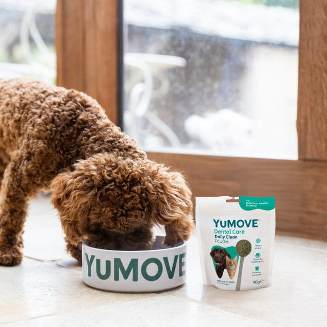 YuMOVE Dental Care Daily Clean Powder Dental Powder 90g Pouch2