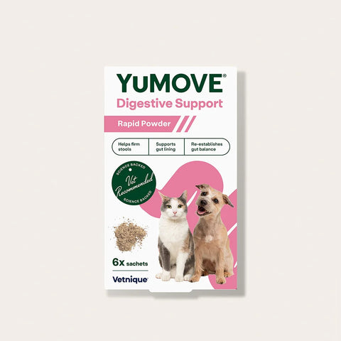 Digestive Support Rapid Powder for Dogs & Cats Digestive Health
