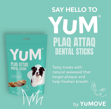 YuM Plaq Attaq Dental Sticks-2