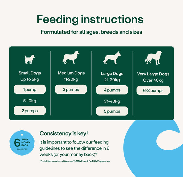 Skin & Coat Care Itching for Dogs Skin & Coat2