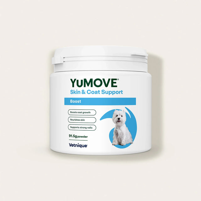 Skin & Coat Care Boost for Dogs Skin & Coat 91g tub1