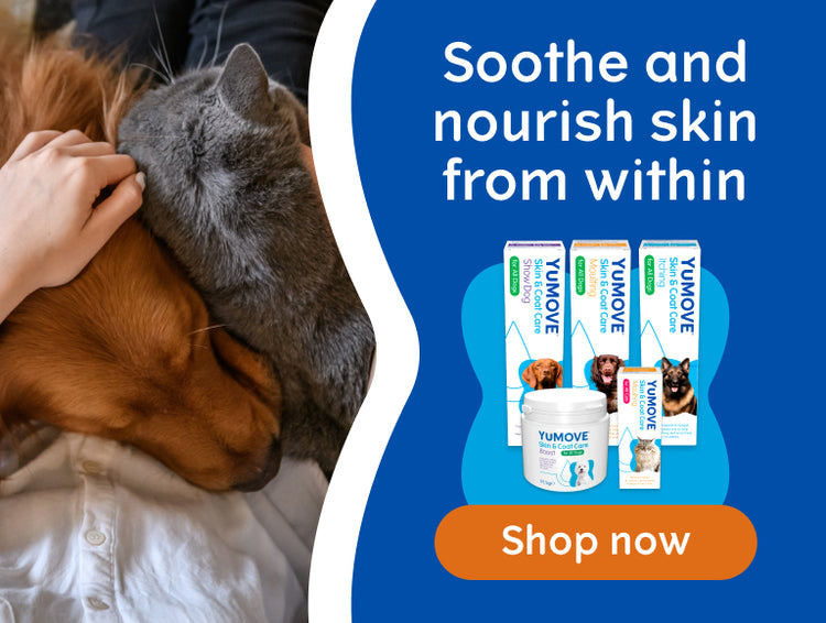 Skin & Coat Care – YuMOVE