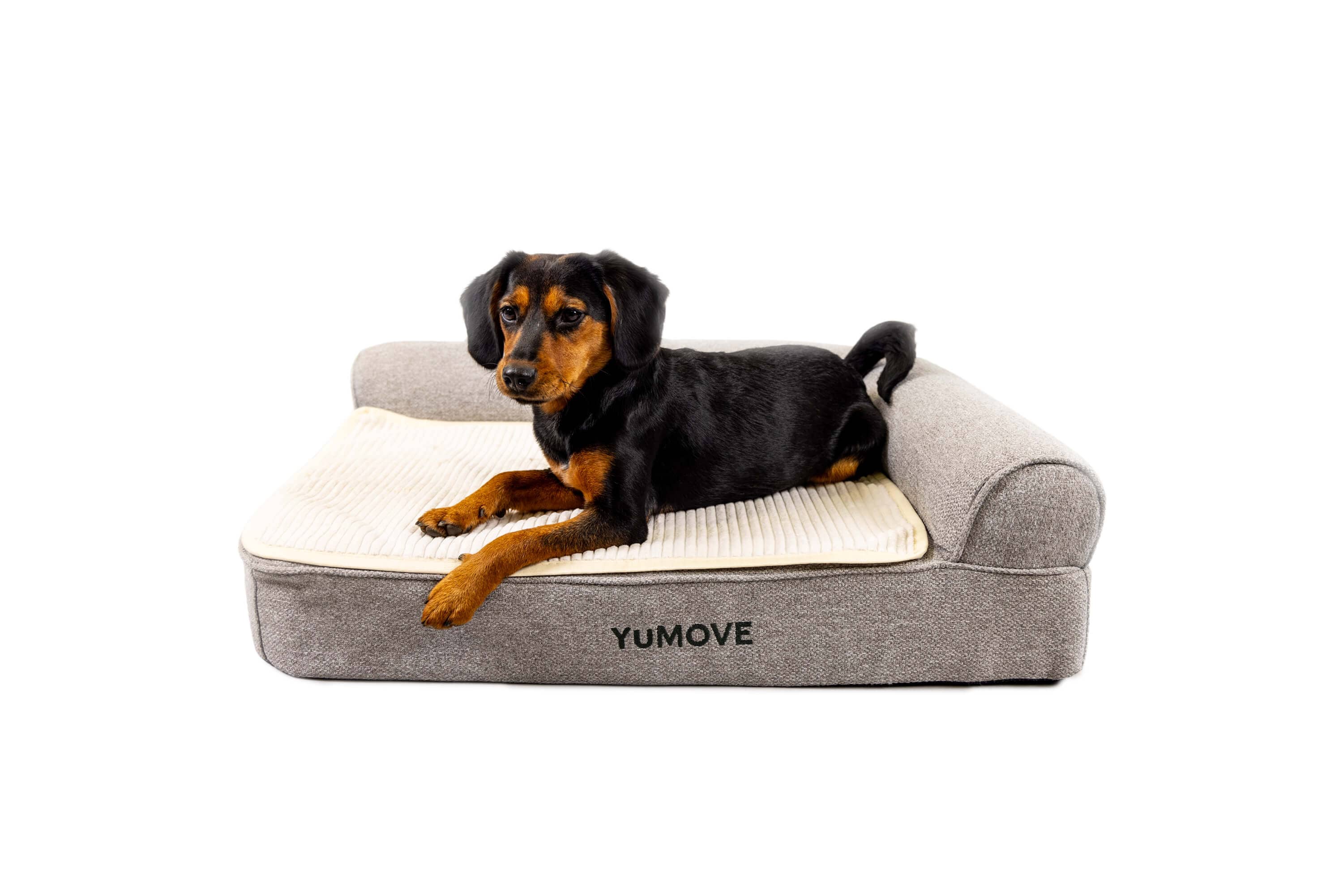 Dog bed memory foam uk hotsell