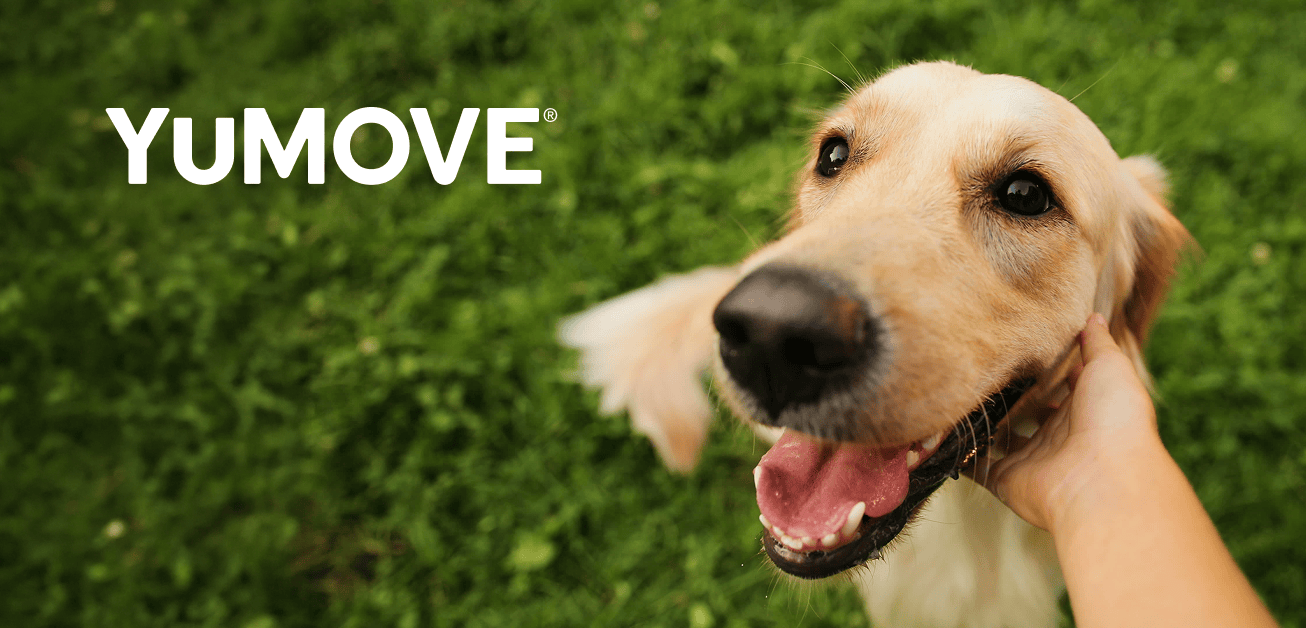 Get FREE 24/7 vet advice from Pawsquad when subscribing to our products