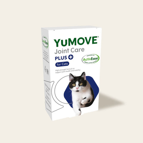 Joint Care PLUS for Cats Joints 60 Capsules