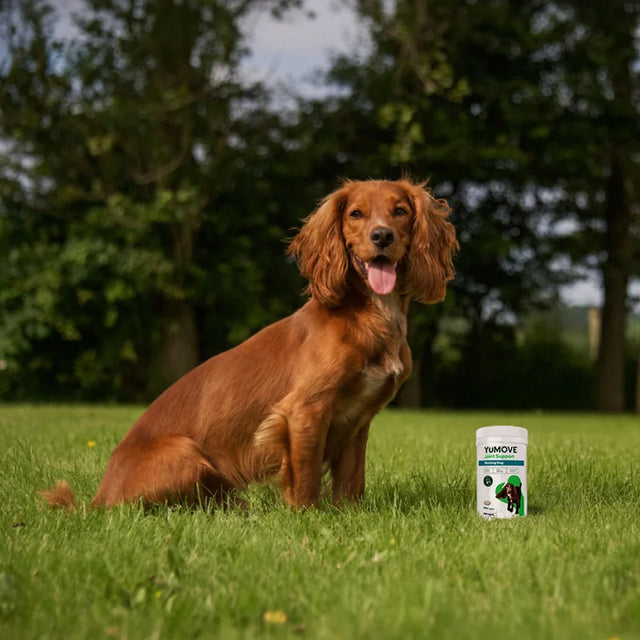 Joint Care for Working Dogs Joints 480 Tablets2