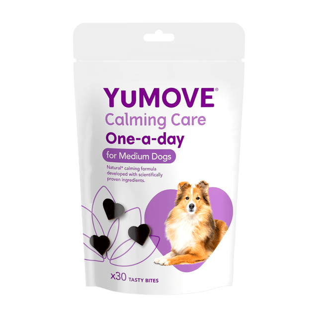 Calming Care One A Day for Dogs