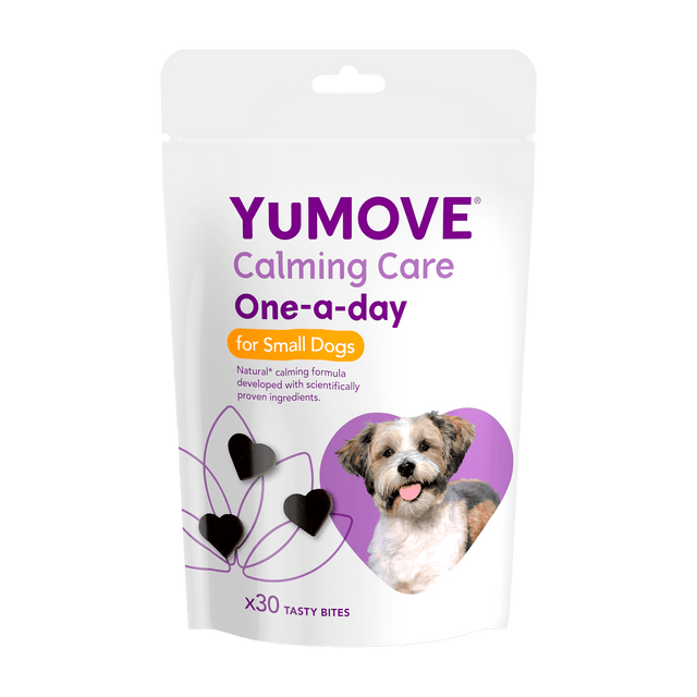 Calming medication for dogs uk online