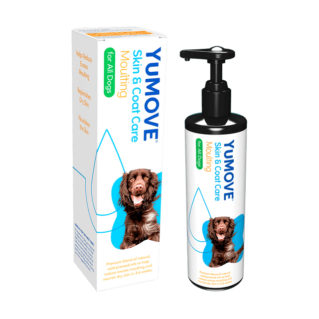 What'S Good for Dogs Dry Skin: Best Remedies Revealed
