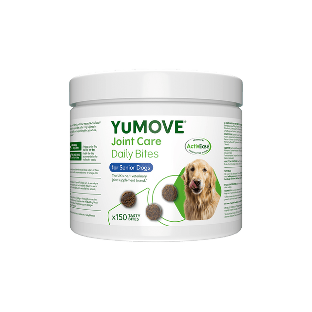 Illustration of Joint Care For Senior Dogs