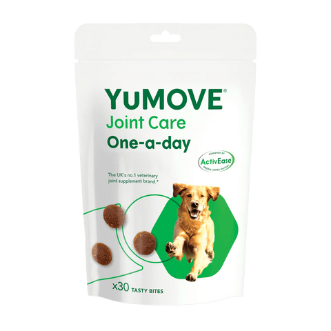 Lintbells yumove chewies online