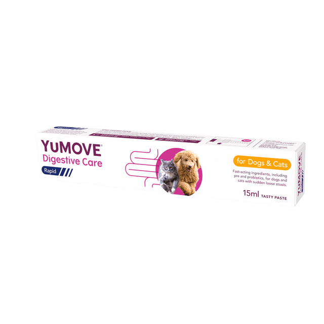 Digestive Care Rapid1