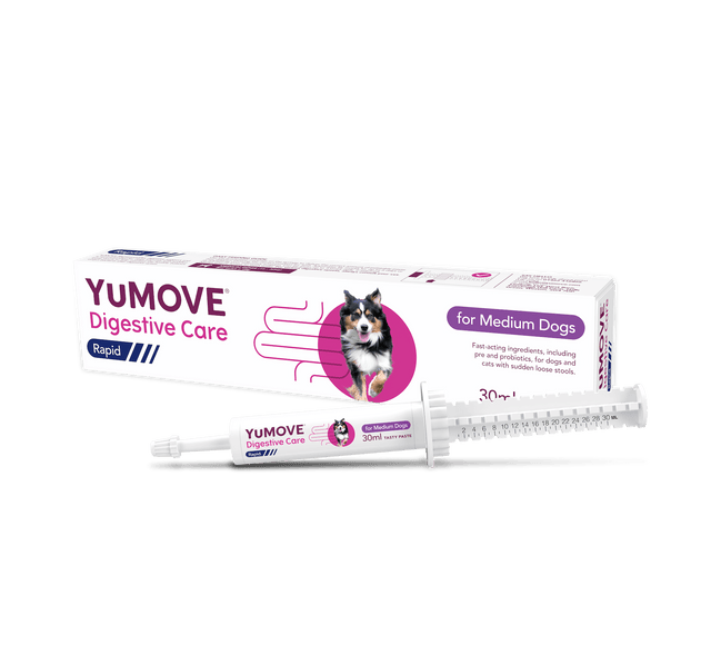YuMOVE Digestive Care Rapid Probiotic Paste for Dogs