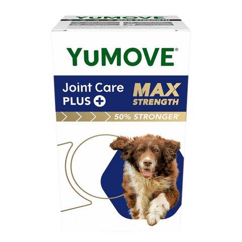 German shepherd joint supplement 2025
