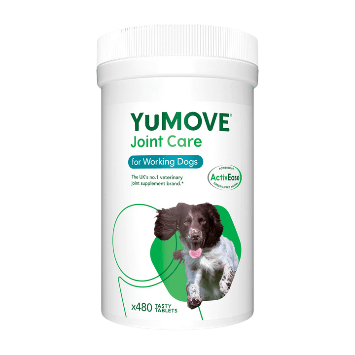 Large dog joint supplements store