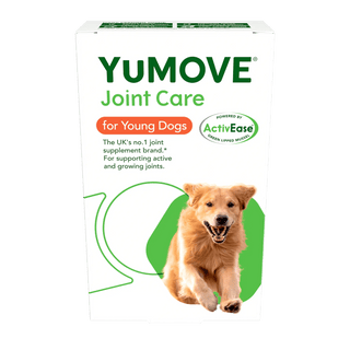 Joint Care for Young Dogs Joints