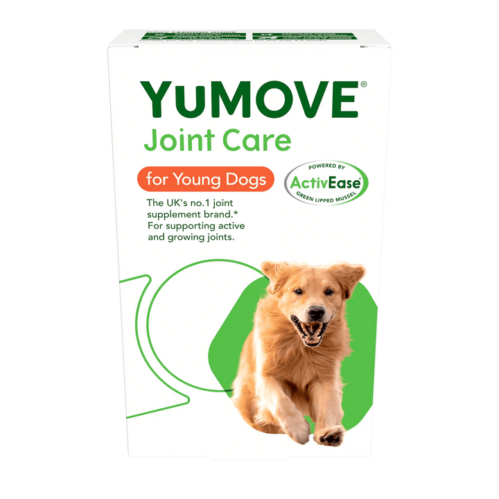 Best joint meds for dogs new arrivals