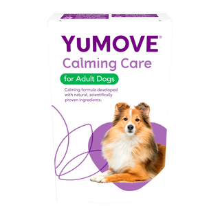 Calming Care for Adult Dogs Calming