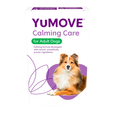 Lintbells yumove working dog best sale