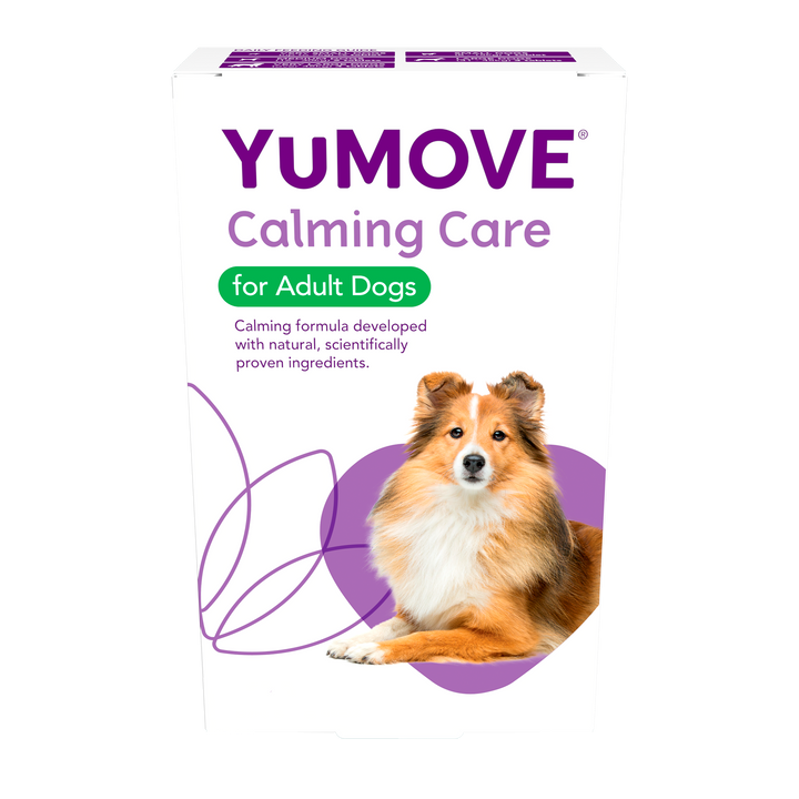 Calming Care for Adult Dogs Calming