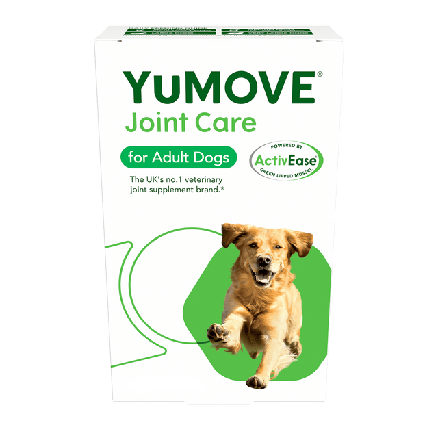 Joint Care for Adult Dogs