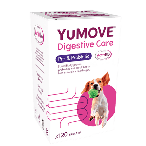 Best human probiotics for dogs hot sale