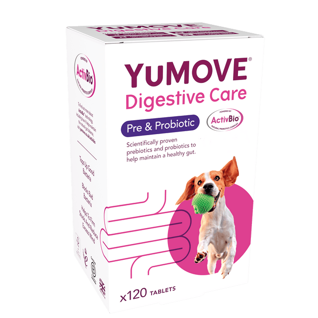 Pre and probiotics for dogs online