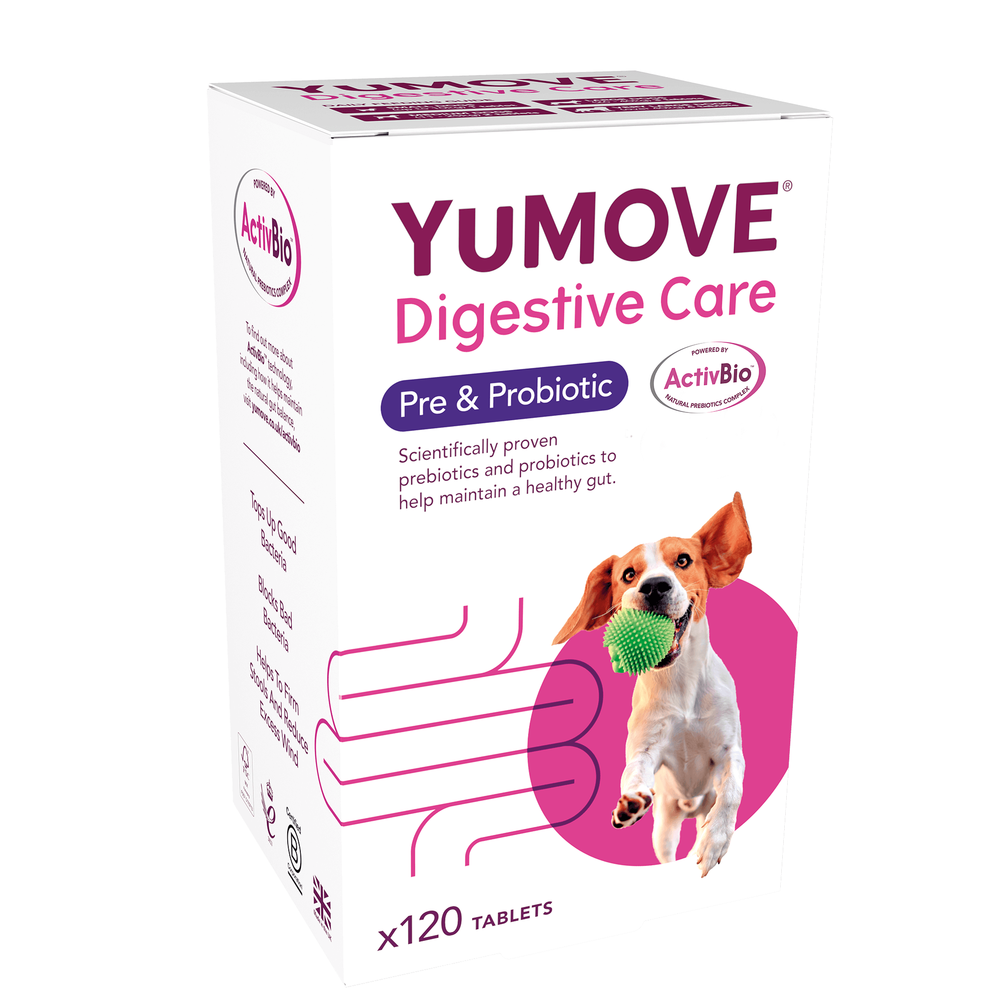 Digestive Care Pre & Probiotic Digestive Health 120 Tablets