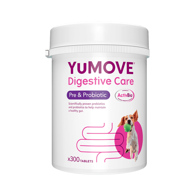 YuMOVE Digestive Care Pre Probiotic for dogs puppies