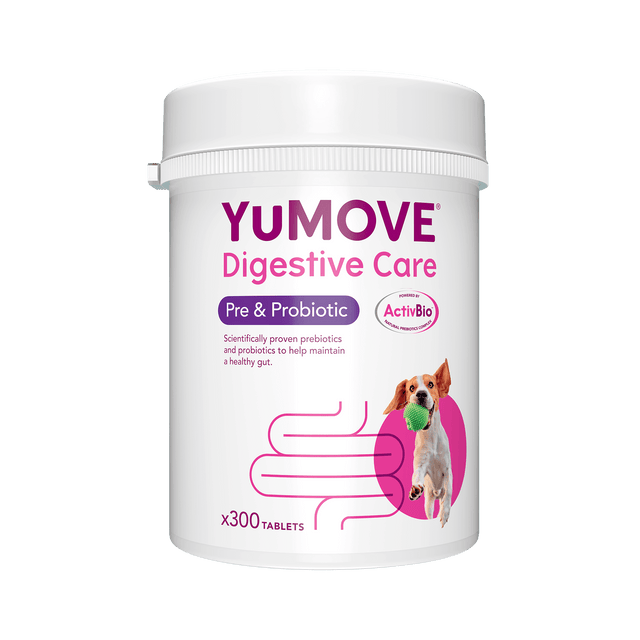 YuMOVE Digestive Care Pre Probiotic For Dogs Bulk Buy