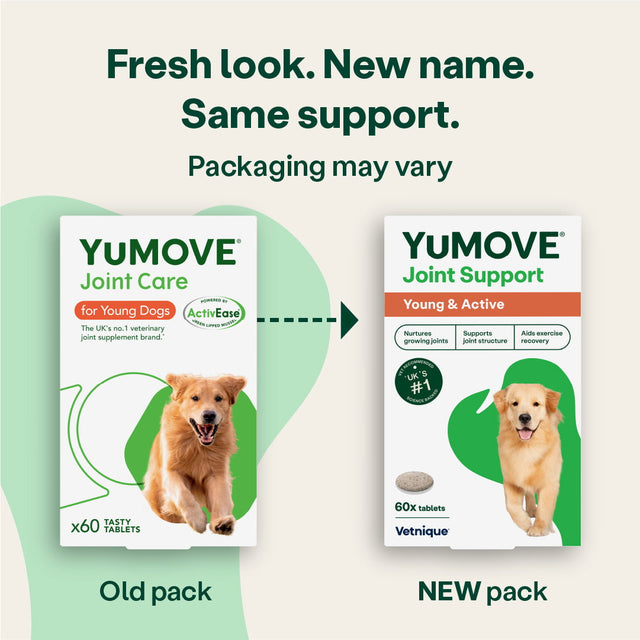 Joint Care for Young Dogs Joints4