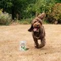 Joint Care for Young Dogs - 240 Tablets Joints 240 Tablets bullet 2