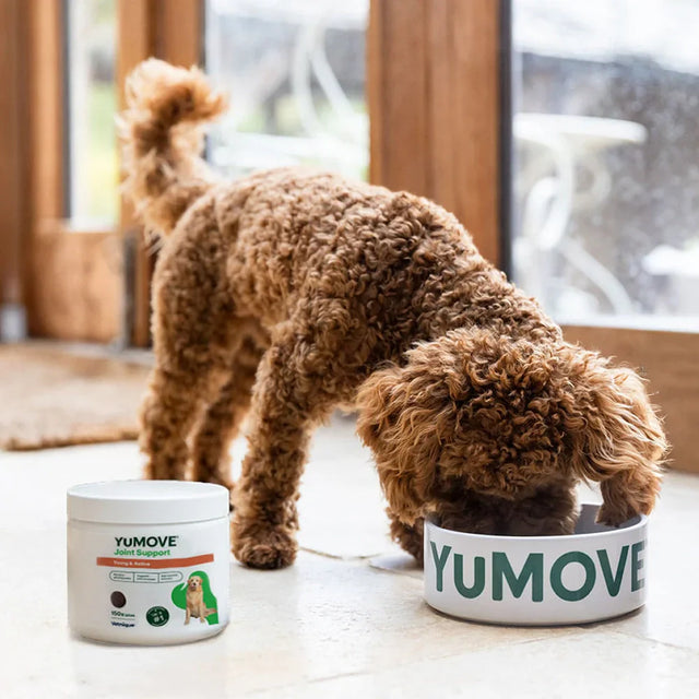 Joint Care Daily Bites for Young Dogs 150 soft bites2