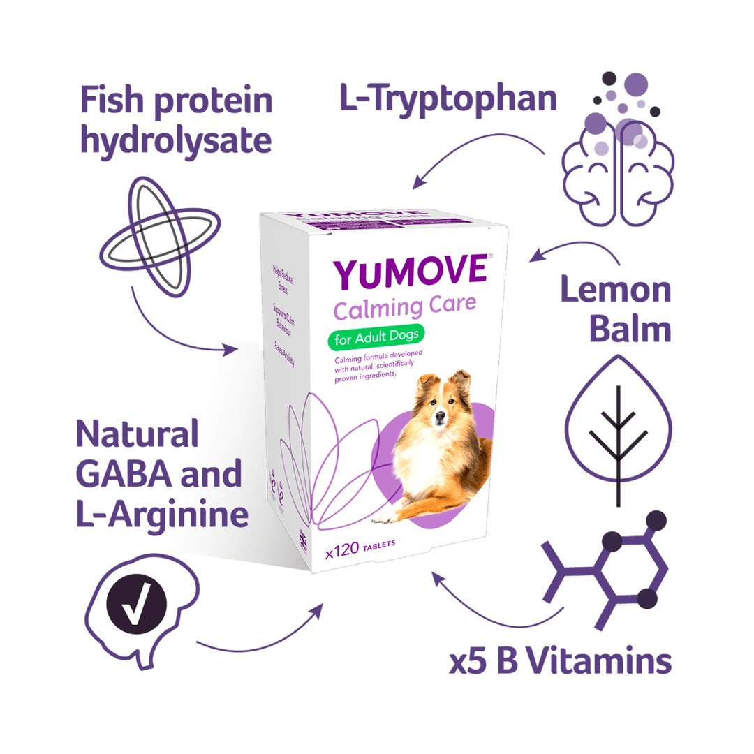 Calming Supplements for Dogs Calming Chews & Tablets for Dogs YuMOVE UK