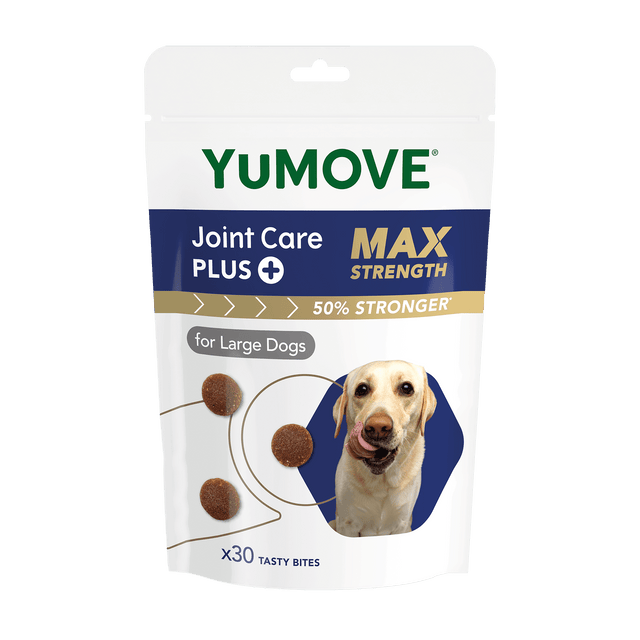Stunning Large Breed Dog Joint Care Supplements image