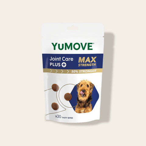 Yumove Joint Care Plus Max Strength package for dogs on a beige background