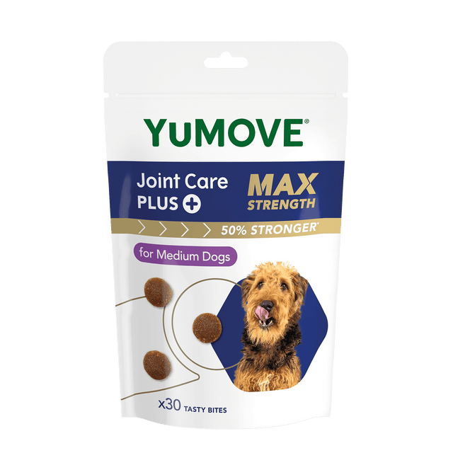Joint Care PLUS Max Strength Bites5