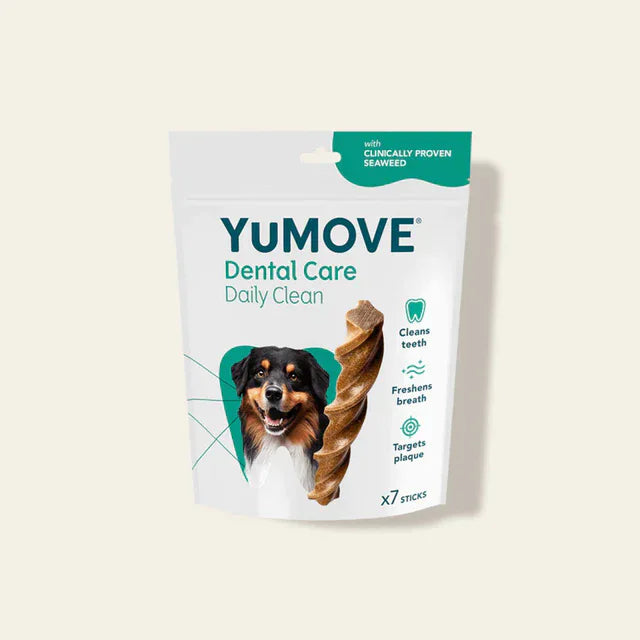 Dental Care Daily Clean Dental Sticks